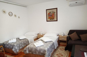 Studio Apartman Škudar